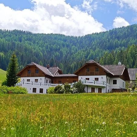 Ferienhaus Alpenblick Krakauschatten エクステリア 写真