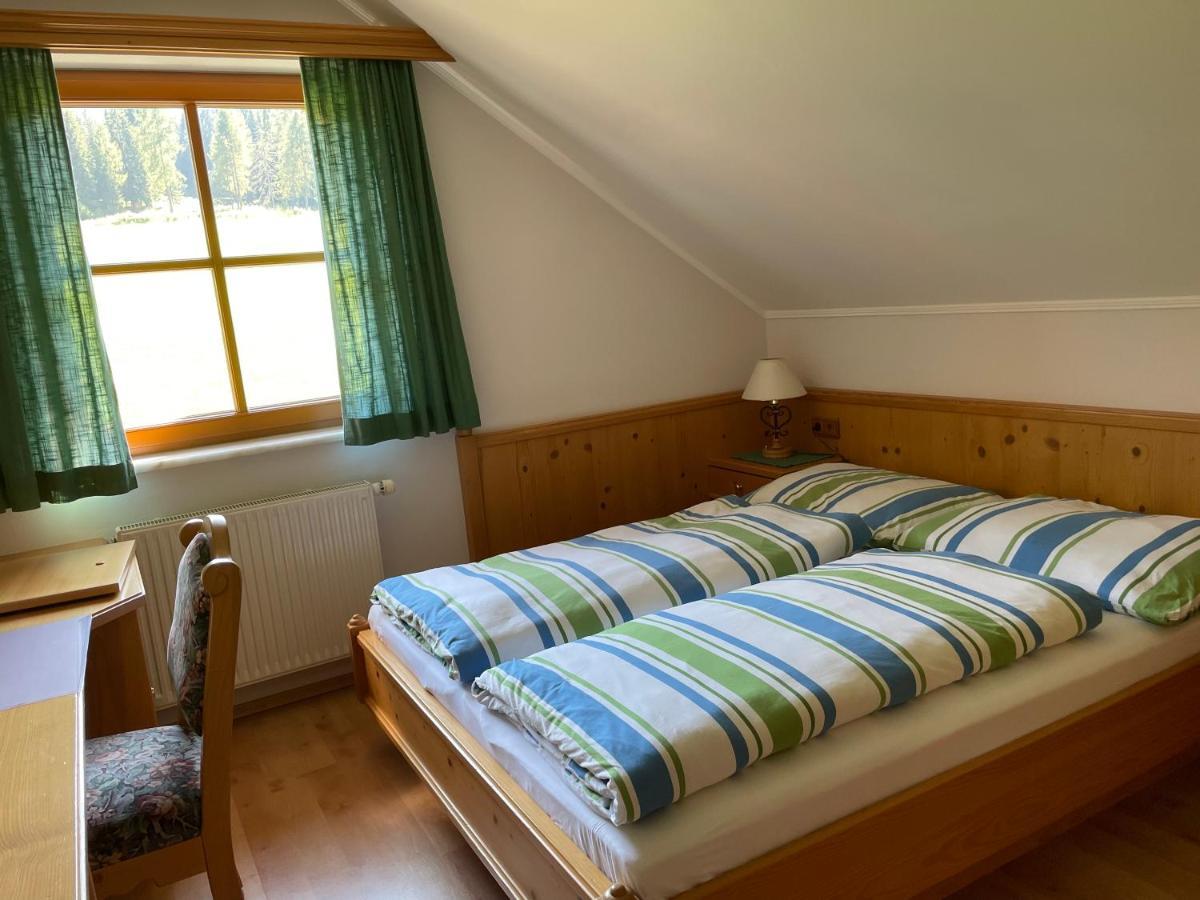 Ferienhaus Alpenblick Krakauschatten エクステリア 写真