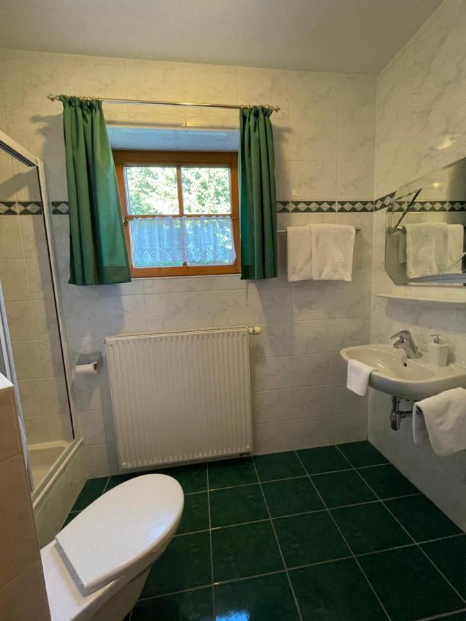 Ferienhaus Alpenblick Krakauschatten エクステリア 写真