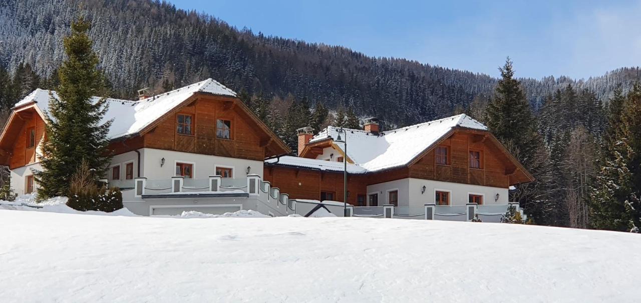 Ferienhaus Alpenblick Krakauschatten エクステリア 写真